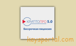 Ключ КриптоПро 5.0.13600-5.0.13000 КС1 бесплатно
